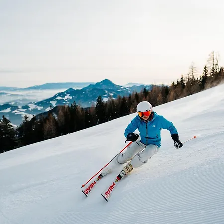 キャンプ場 Chaletpark Petzen