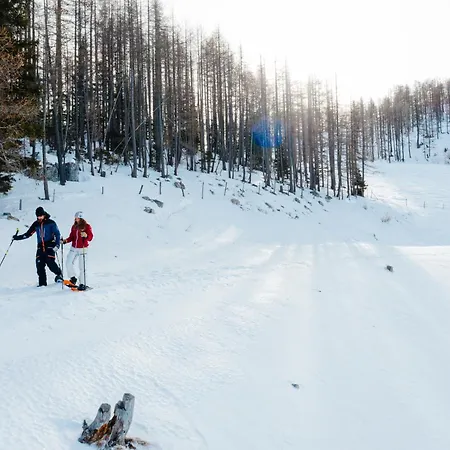 キャンプ場 Chaletpark Petzen Feistritz ob Bleiburg