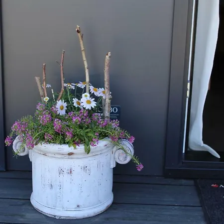 Chaletpark Petzen Kemping 3*