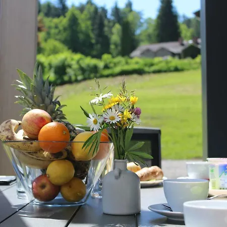 Chaletpark Petzen Κάμπινγκ Feistritz ob Bleiburg