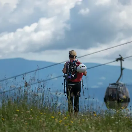 Chaletpark Petzen مكان تخييم 3*