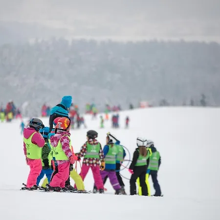 Chaletpark Petzen Feistritz ob Bleiburg