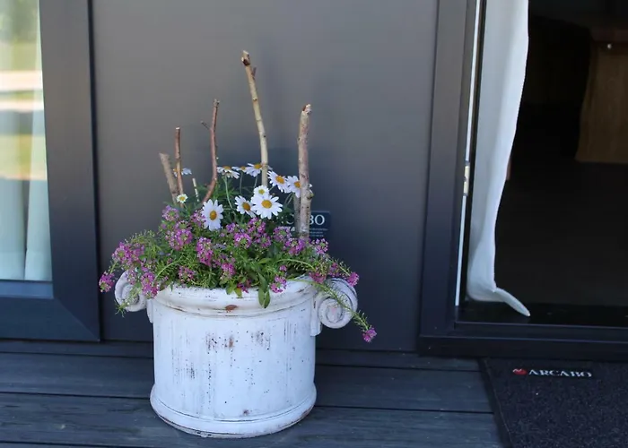 Chaletpark Petzen Campingplads 3*